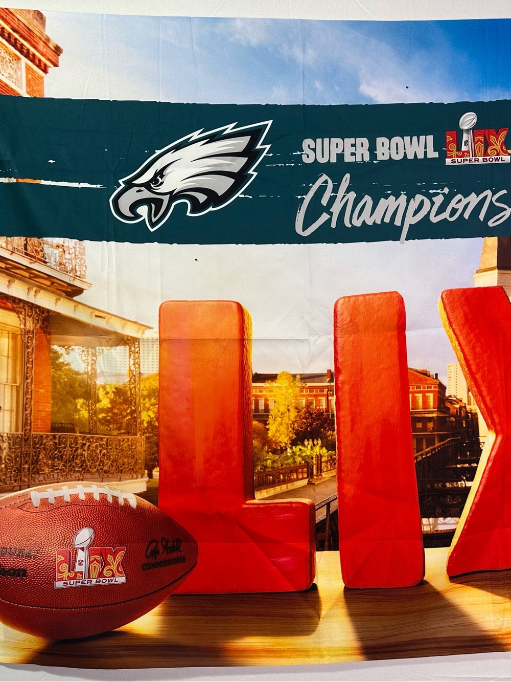 Philadelphia Eagles Super Bowl LIX Champions Tapestry 39x34 Inches